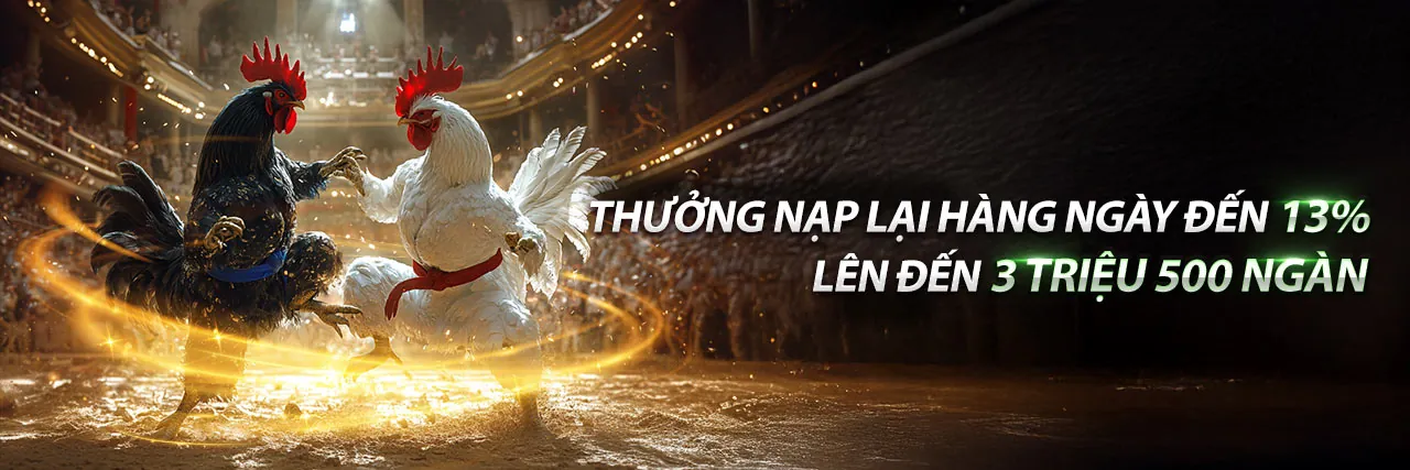 Hướng Dẫn Nhận Khuyến Mãi ev999
