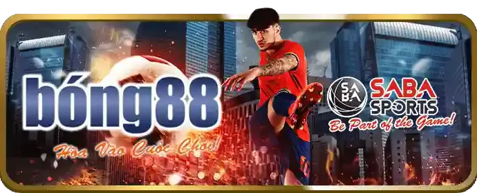Cookie của bên thứ ba - Đối tác và dịch vụ liên kết
